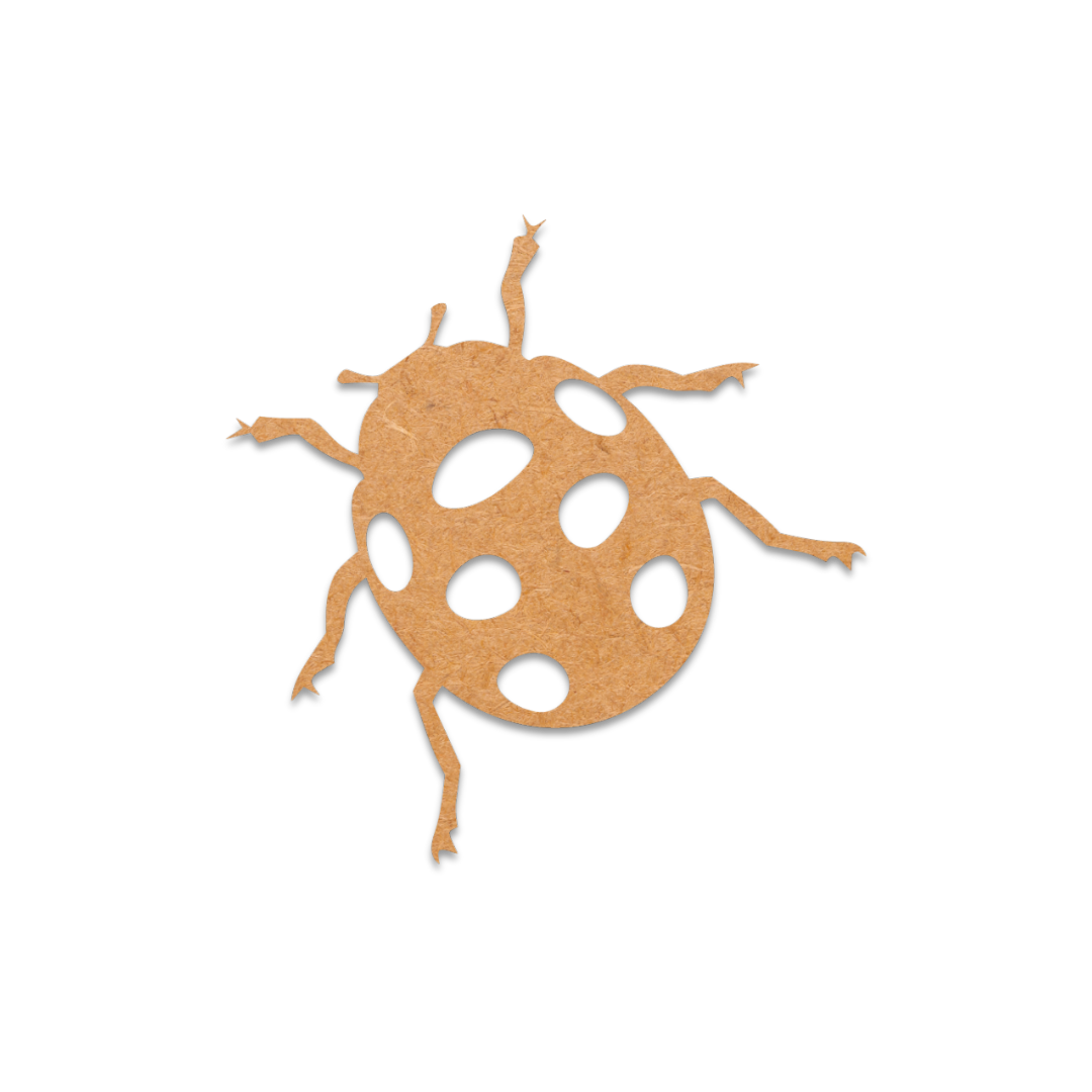 Lady Bug