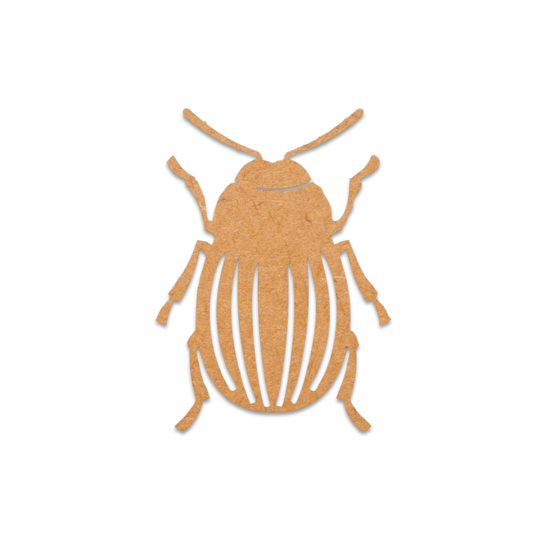 Beetle