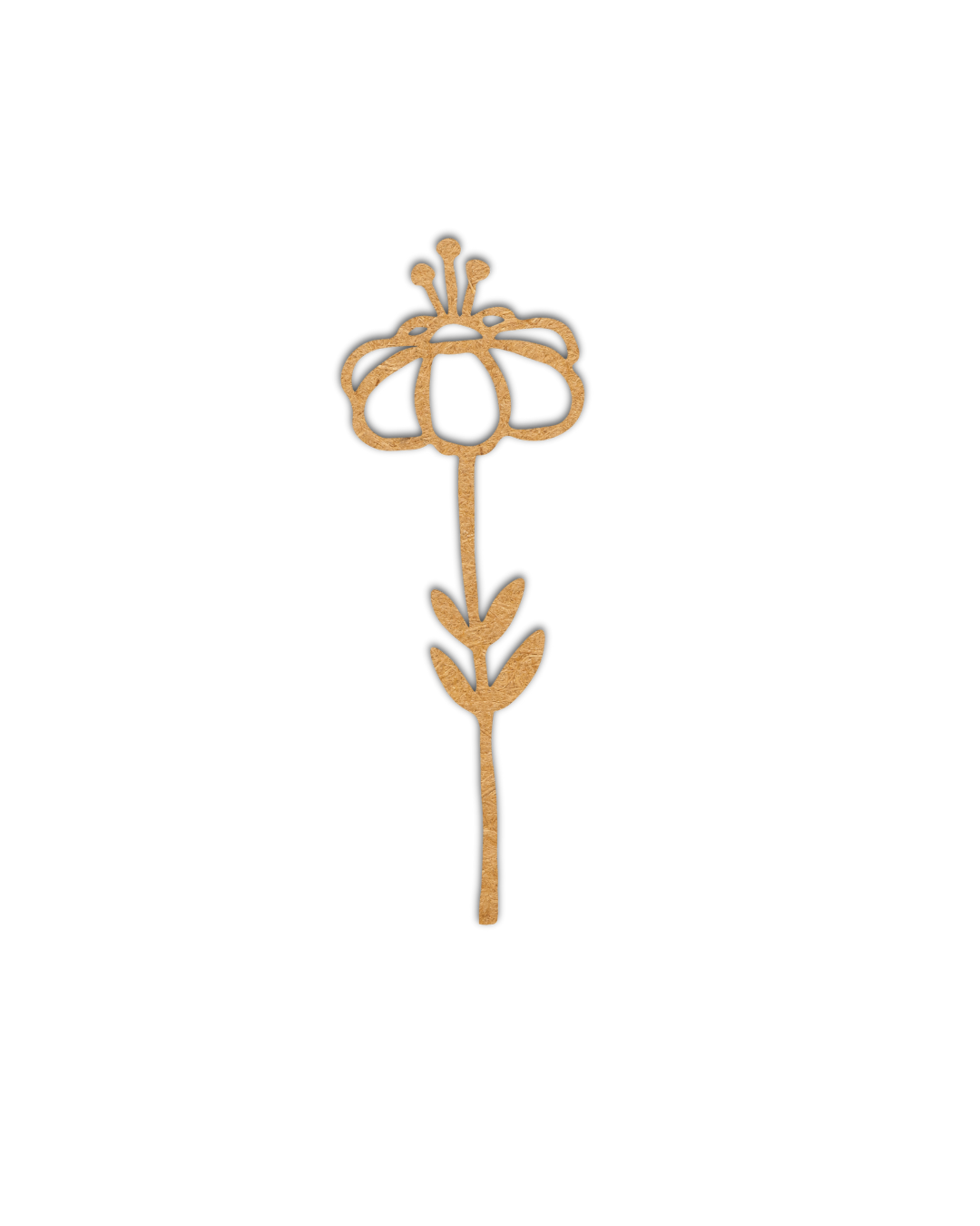 Flower/Botanical Decor