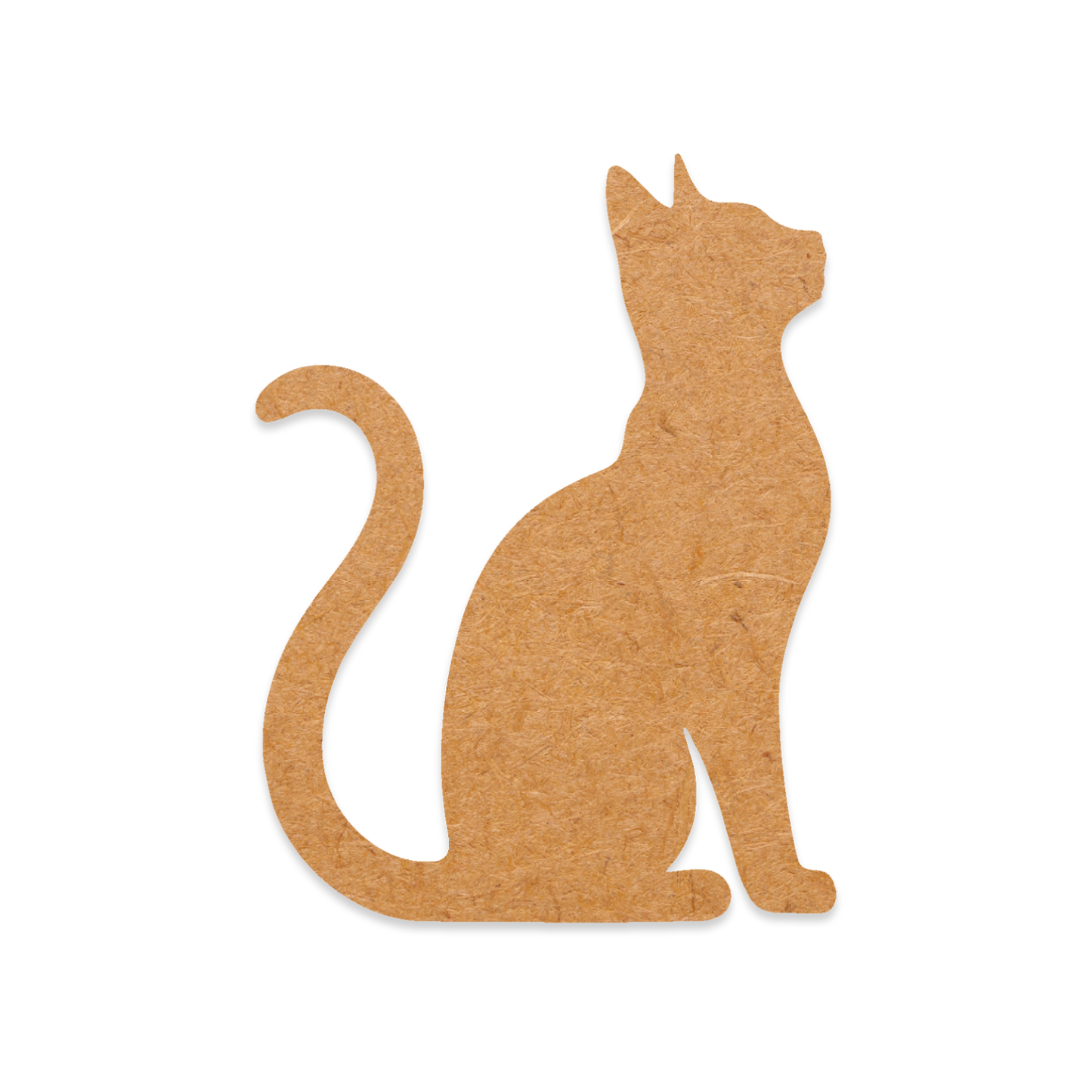 Sitting Cat