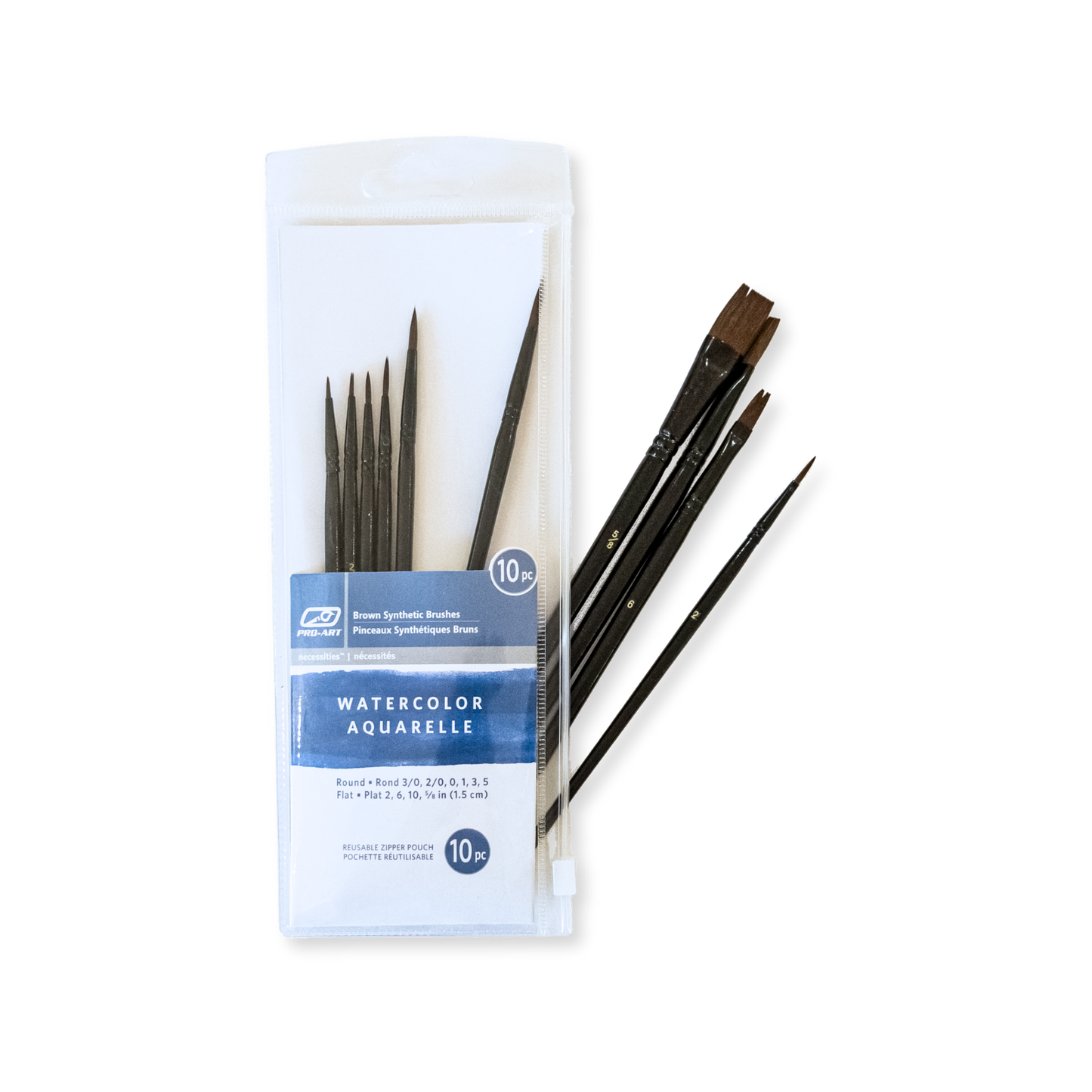 Set of 10 Paint Brushes