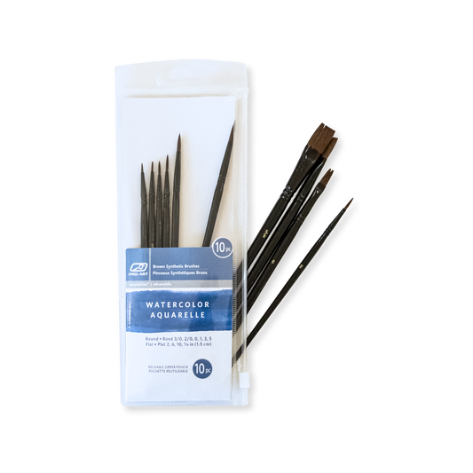 Set of 10 Paint Brushes