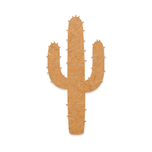 Prickly Cactus
