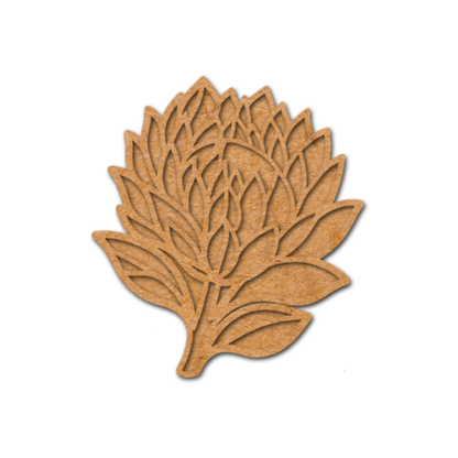 Intricate Protea