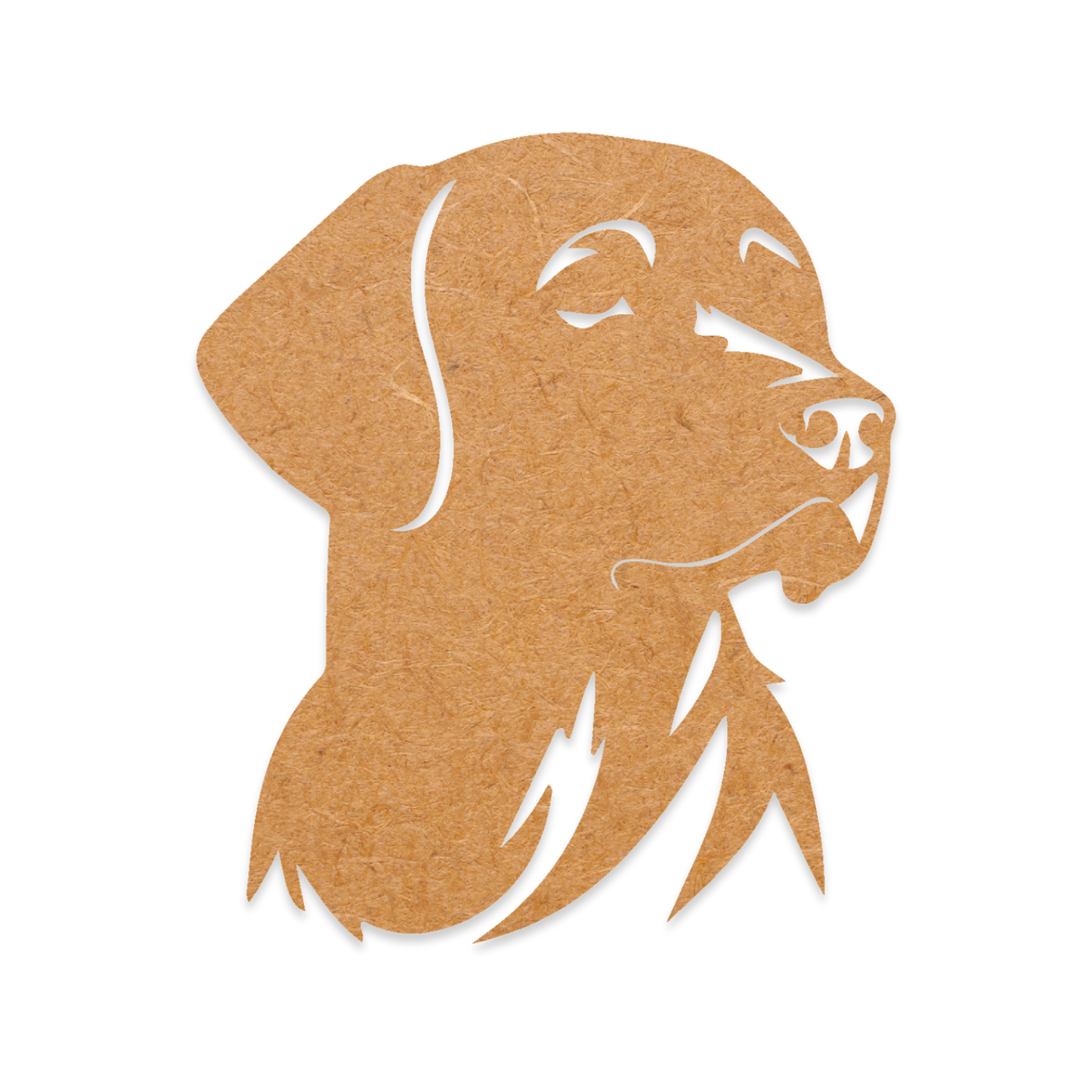 Labrador Portrait