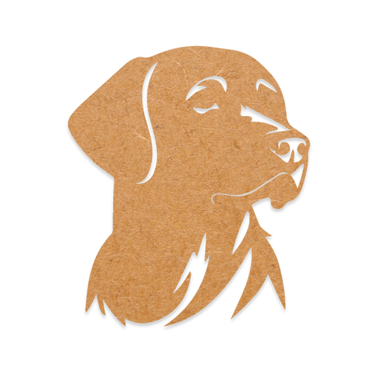 Labrador Portrait