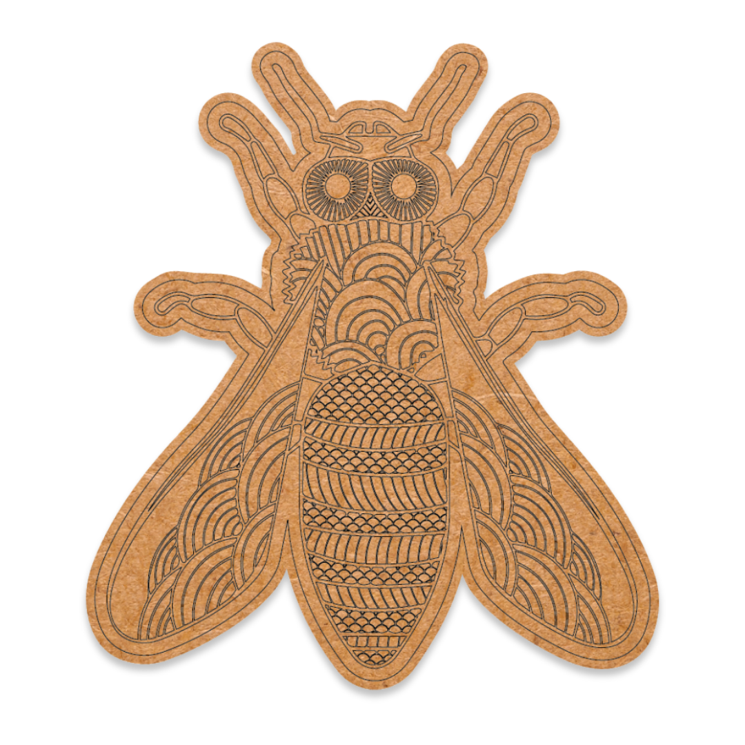 Laser engraved fly colour in blank on MDF