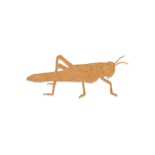Our grasshopper blank is intricately cut from 3mm MDF wood.