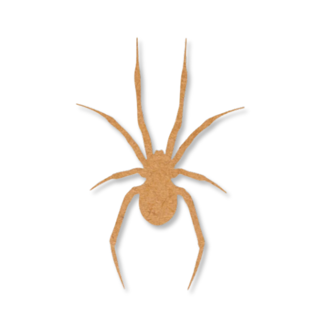Halloween Spider